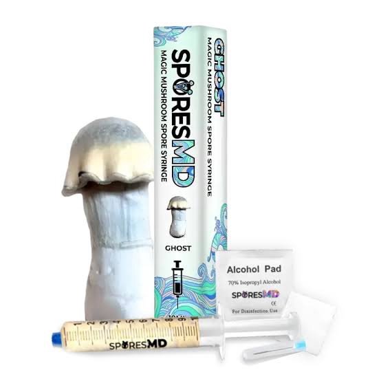 SPORES MD MAGIC MUSHROOM SPORE SYRINGE / GHOST